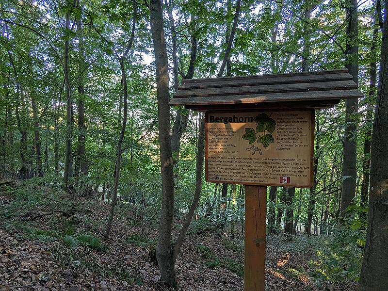 Naturlehrpfad RehbergNaturlehrpfad Rehberg