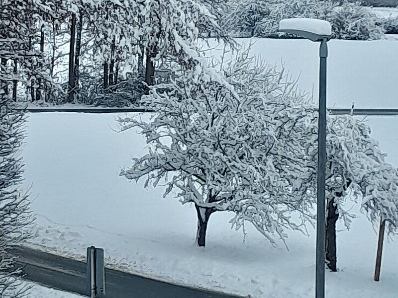 Schnee in Kulmbach: Die sch&ouml;nsten Leserfotos