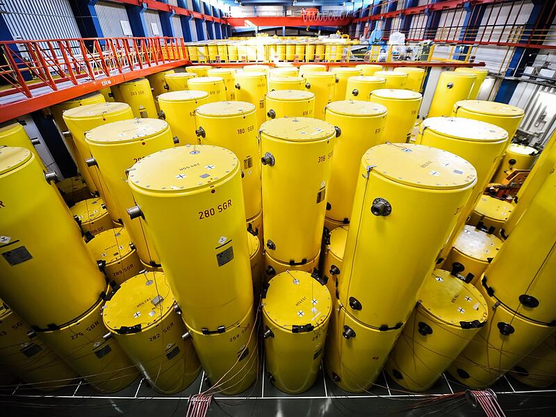 Castoren im Forschungszentrum Jülich Castoren im Forschungszentrum Jülich