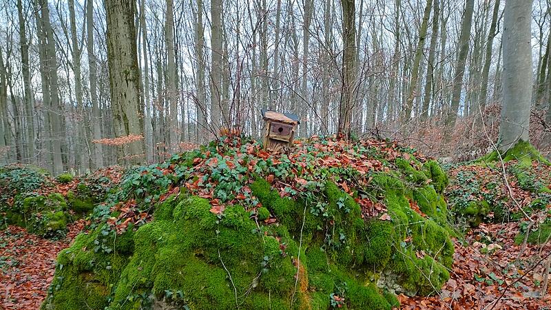 Vogelhaus in Felsengarten Sanspareil Vogelhaus in Felsengarten Sanspareil
