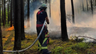 Ein Feuerwehrmann bei Löscharbeiten im Markwald bei Baiersdorf am Nachmittag des 30. Juni 2025.