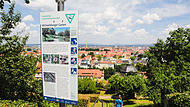 Terrassengarten mit Delphinbrunnen im Klostergarten am Michelsberg in Bamberg.