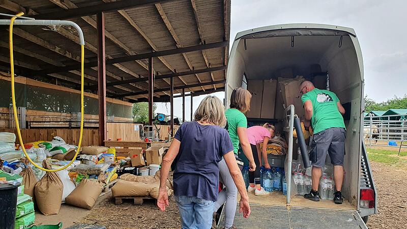 Das Team vom Klepperstall hilft beim Ausladen des Pferdeanh&auml;ngers.