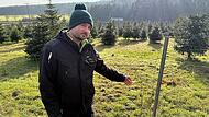 Daniel Singer an seiner Christbaumplantage bei Wimmelbach zeigt auf das Loch, das die Diebe hinterließen.