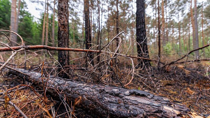 Waldbrand bei Erlangen Die Gefahr von Waldbränden, wie hier bei Erlangen im April, ist in diesen Tagen wieder besonders groß. (Archivbild)