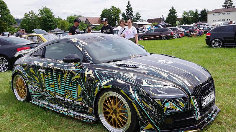 Eine bunte Vielfalt an Audis aus allen m&ouml;glichen Baujahren waren in Neukenroth zu bestaunen.