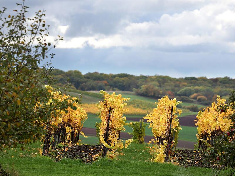 Herbst in Bayern