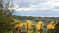 Herbst in Bayern