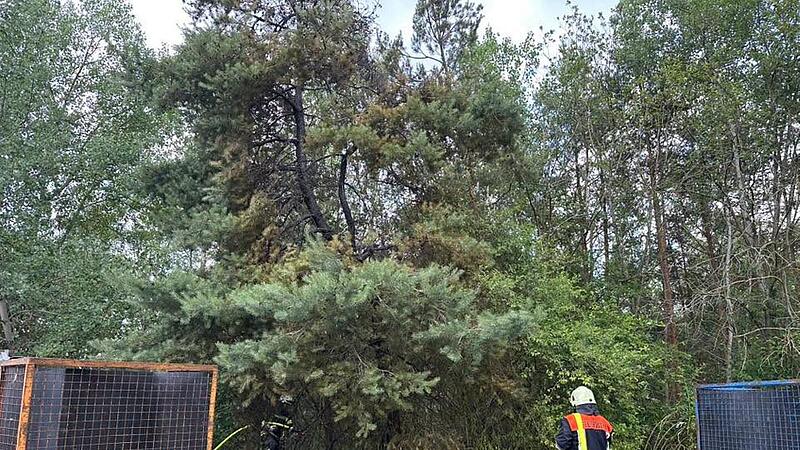 Blitz entfacht Waldbrand im Kreis Erlangen-Höchstadt - Feuerwehr gefordert Blitz entfacht Waldbrand im Kreis Erlangen-Höchstadt - Feuerwehr gefordert