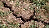 Trockenheit