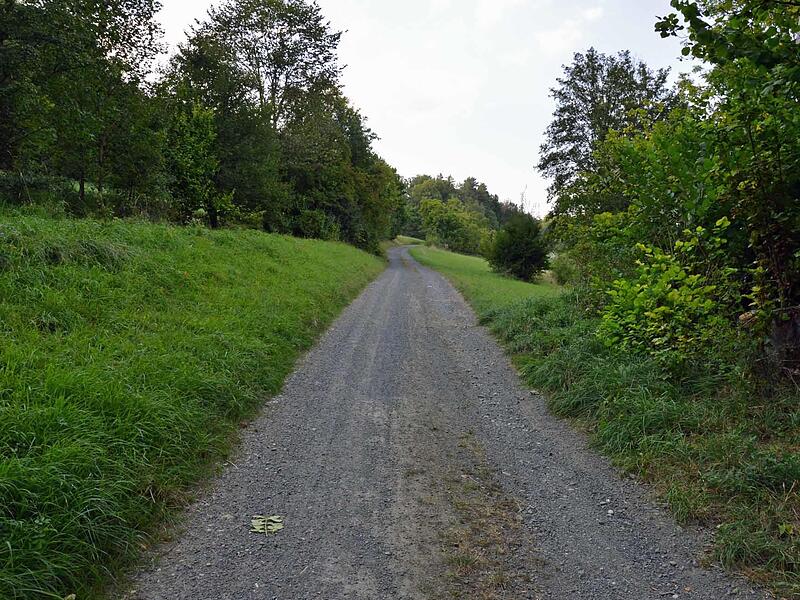 Durch Ausspülungen der Schotterdecke auf dem langen, teilweise hügeligen Geh- und Radweg von Oberlauter nach Tremersdorf wird die Sicherheit der Nutzer gefährdet.