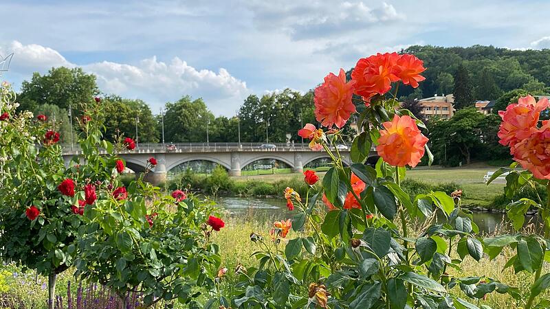 Auch im eigenen Garten k&ouml;nnen die Rosen so sch&ouml;n bl&uuml;hen wie bei den Profis.