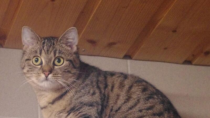 Erst im August 2021 sind Pantoffel und Pf&ouml;tchen geboren. Ihr junges Alter gibt Hoffnung, dass sie mit der Zeit noch zutraulicher werden.