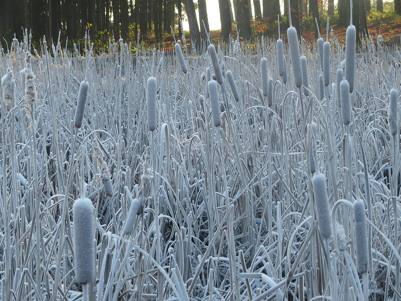 Leserfotos Erlangen-H&ouml;chstadt