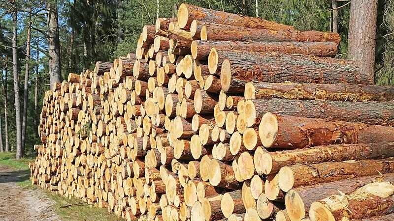 Holz aus dem heimischen Wald &ndash; man kann es auf verschiedenen Wegen versuchen zu kaufen.