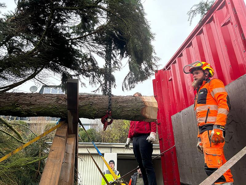 Unterwegs mit dem Coburger Weihnachtsbaum