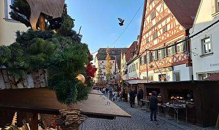 Auf dem weihnachtlichen Weg zur Kaiserpfalz: Forchheims Innenstadt ist beliebt bei Gästen, wenn da nicht noch einige unliebsame Baustellen wären.Forchheim & Fränkische Schweiz Auf dem weihnachtlichen Weg zur Kaiserpfalz: Forchheims Innenstadt ist beliebt bei Gästen, wenn da nicht noch einige unliebsame Baustellen wären.Forchheim & Fränkische Schweiz