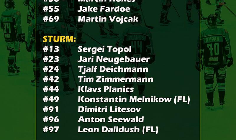 Höchstadt Alligators gegen Hannover Scorpions: Aufstellung in Spiel 3 Höchstadt Alligators gegen Hannover Scorpions: Aufstellung in Spiel 3
