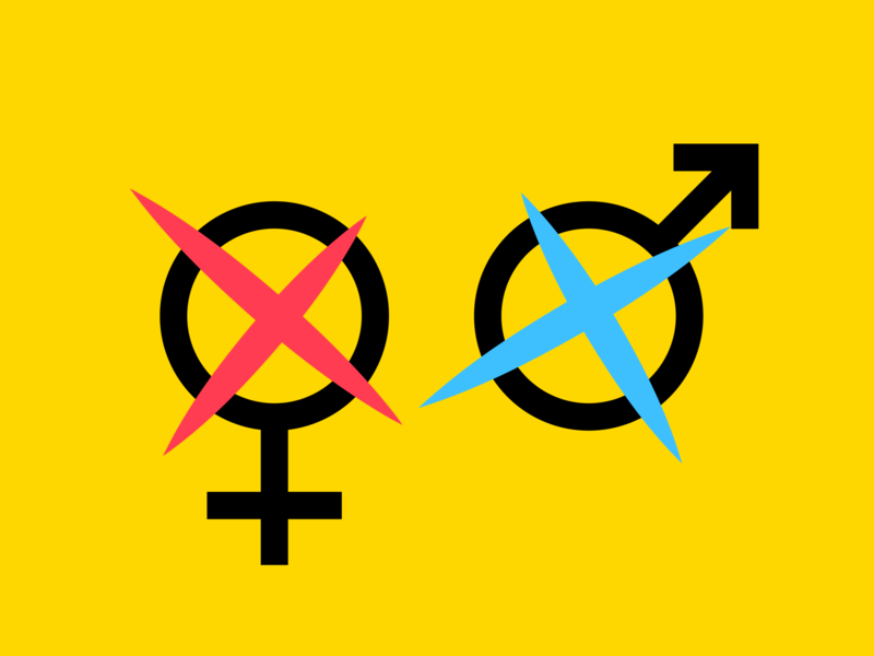 Wie hoch ist der Frauenteil im Kulmbacher Stadtrat und im Kreistag?