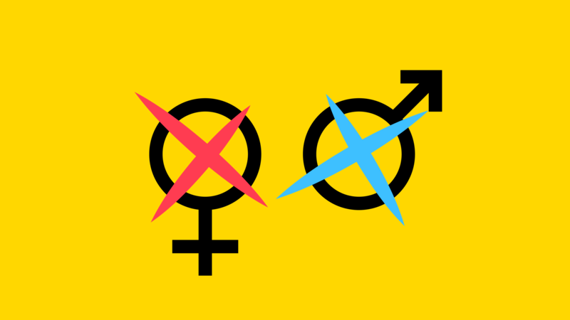 Wie hoch ist der Frauenteil im Kulmbacher Stadtrat und im Kreistag?