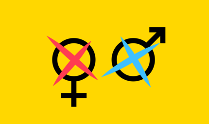 Wie hoch ist der Frauenteil im Kulmbacher Stadtrat und im Kreistag?