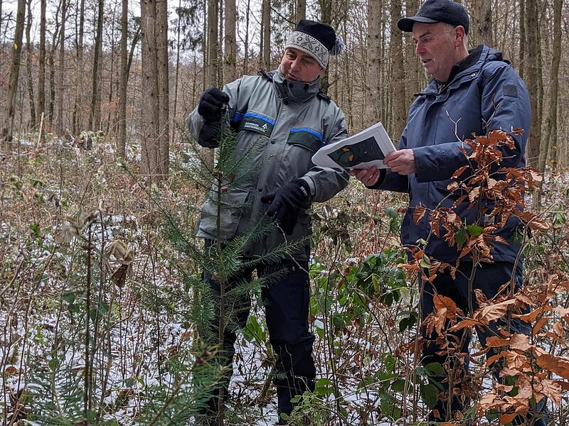 Förster Joachim Dahmer (l.) und Arno Müller in seinem Waldstück. Förster Joachim Dahmer (l.) und Arno Müller in seinem Waldstück.