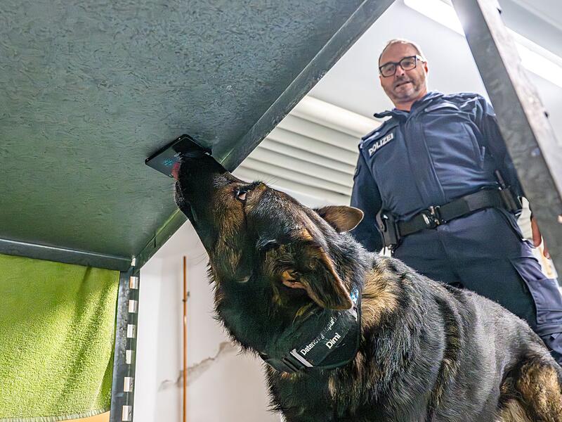 Zentrale Diensthundeschule der Bayerischen Polizei