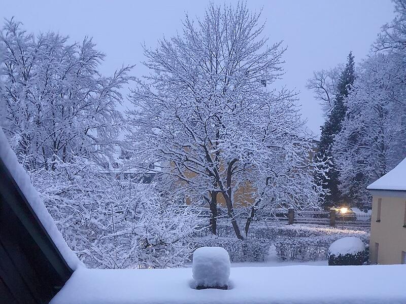 Schnee in Kulmbach: Die sch&ouml;nsten Leserfotos
