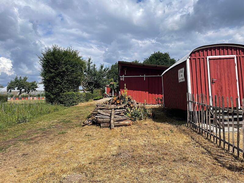 Laufer Mühle Im Garten der Laufer Mühle gibt es ein breites Beschäftigungsangebot: Gärtnern, Werken, Tiere pflegen und die Imkerei sind einige davon.
