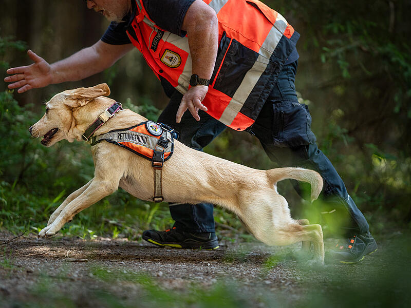 Die BRH Rettungshundestaffel Forchheim im EinsatzForchheim & Fr&auml;nkische Schweiz