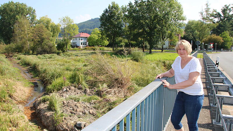 Biber bei Stadtsteinach