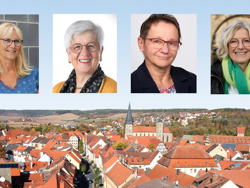Britta Bildhauer, Rosina Eckert, Michaela Wedemann und Christine Martin sind die vier Frauen unter 20 Stadtratsmitgliedern. Zur Kommunalwahl 2026 legen sie alle ihr Amt nieder.