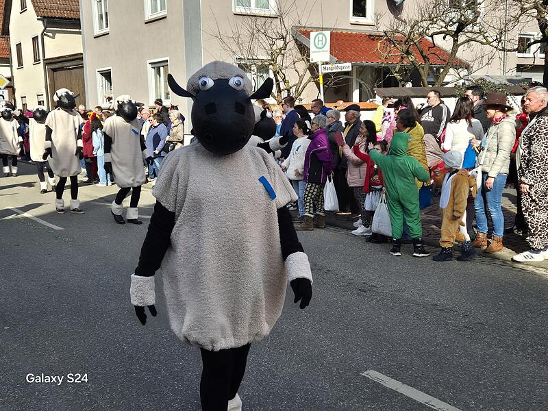 Fasching in Poppenlauer