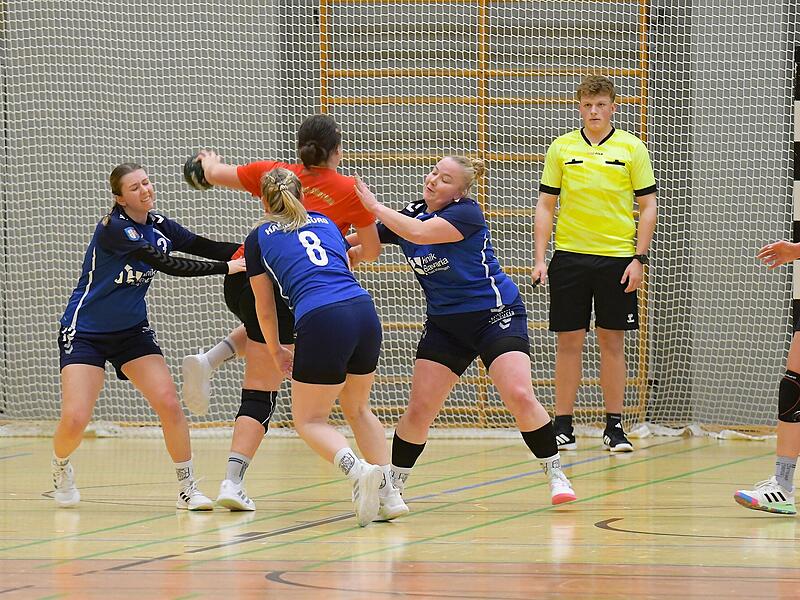 Handball aus der Region Handball aus der Region