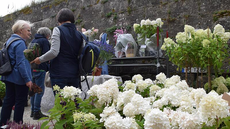Bei dieser Auswahl d&uuml;rften sich Sch&auml;tze f&uuml;r den eigenen Garten gefunden haben.Viele Bilder: Die Rosenmesse auf der Festung Rosenberg bezaubert