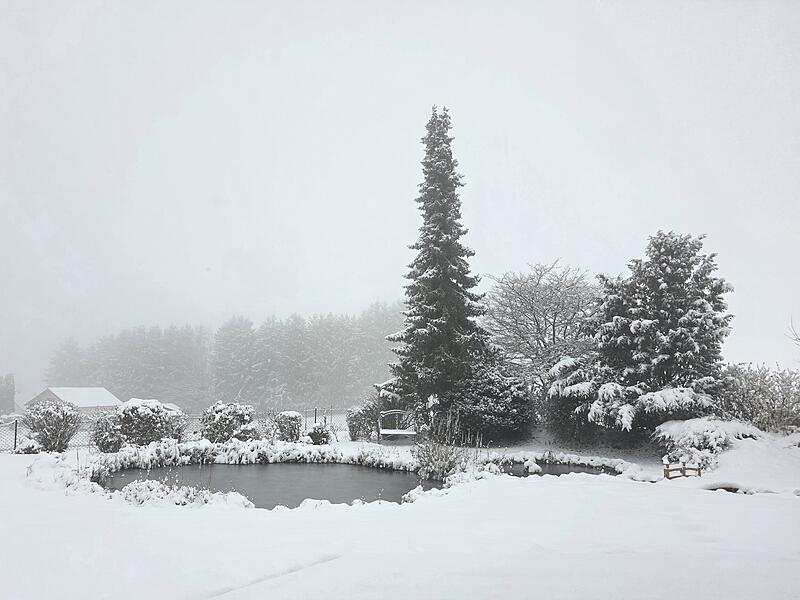 Leserbilder 2025Leserfotos Dezember 2025