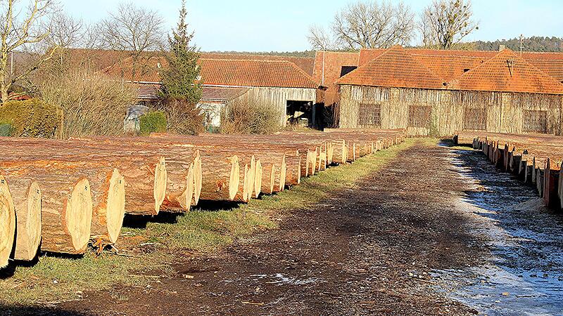Sauber in zwei Reihen aufgelegt. Nadelholz am Wertholzplatz in Rentweinsdorf
