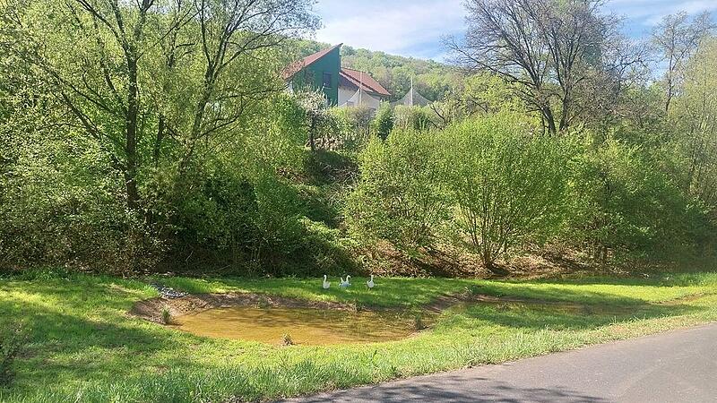 Bürgerversammlung Engenthal