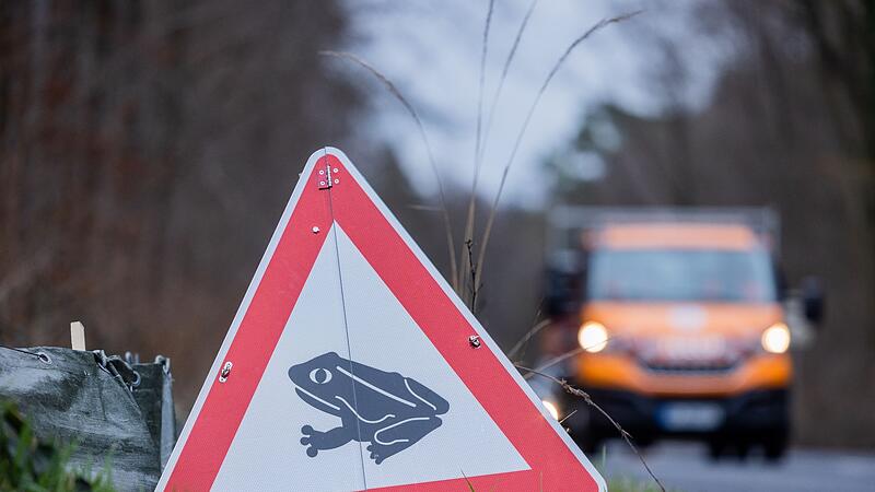 Krötenwanderung Krötenwanderung