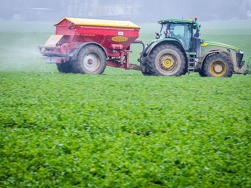 Mineraliend&uuml;nger