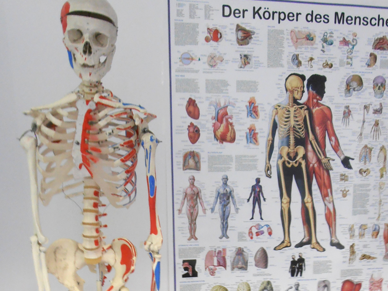 DEB in Bamberg: Ausbildungen im GesundheitswesenDEB in Bamberg: Ausbildungen im Gesundheitswesen
