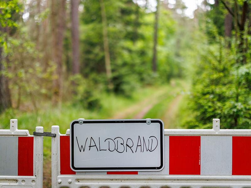 Waldbrand Waldbrand