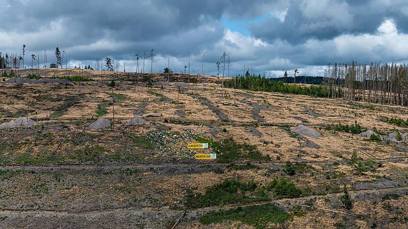 Waldsterben Fotoaktion des BN