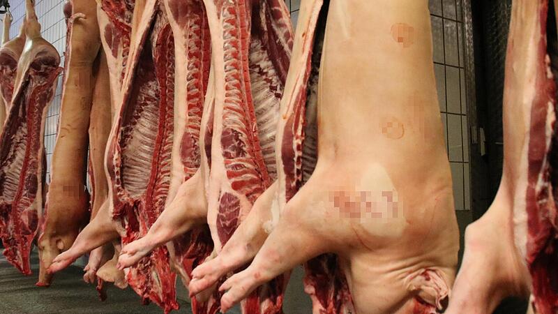 Schweineh&auml;lften im Bamberger Schlachthof: Heimische Metzger f&uuml;hlen sich gegen&uuml;ber T&ouml;nnies auf dem Abstellgleis.