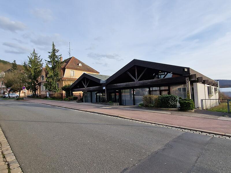 Auf dem Gel&auml;nde der ehemaligen Zaak-G&auml;rtnerei soll ein Lebensmittelmarkt gebaut werden.