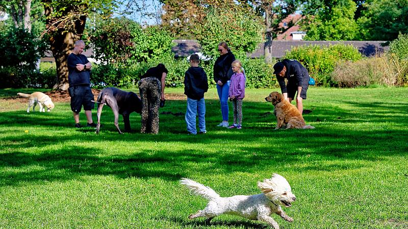 Hundebadetag im Stadionbad Bamberg 2026
