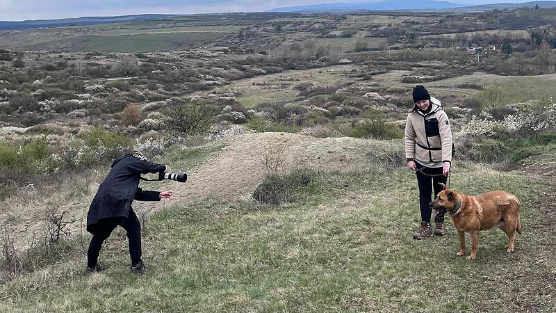 Anja Veh fotografiert einen Hund, der anschließend aus dem Tierheim vermittelt werden soll. Anja Veh fotografiert einen Hund, der anschließend aus dem Tierheim vermittelt werden soll.