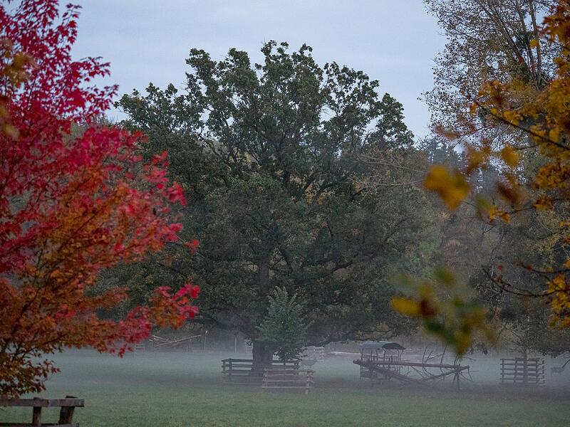 Herbstliches Wetter