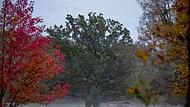 Herbstliches Wetter