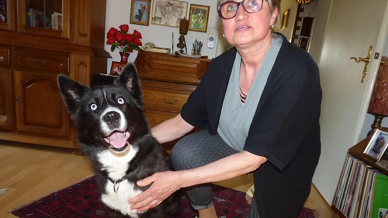 Ella wurde nur deshalb gerettet, weil sie von ihren Hundebesitzern nie aufgegeben wurde.Forchheim & Fr&auml;nkische Schweiz